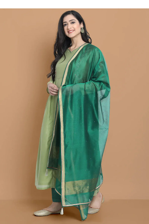 Light green silk chanderi kurta accentuated with exquisite hand embroidery and got emb at the neck , paired with cotton trouser
